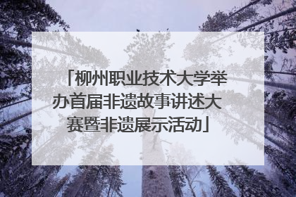 柳州职业技术大学举办首届非遗故事讲述大赛暨非遗展示活动