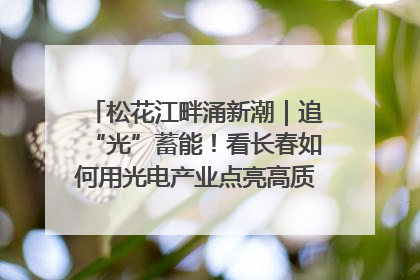 松花江畔涌新潮｜追“光”蓄能！看长春如何用光电产业点亮高质量发展新赛道