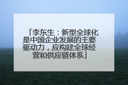 李东生：新型全球化是中国企业发展的主要驱动力，应构建全球经营和供应链体系