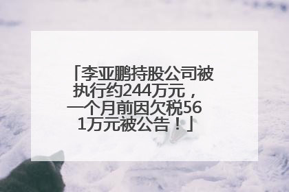 李亚鹏持股公司被执行约244万元，一个月前因欠税561万元被公告！