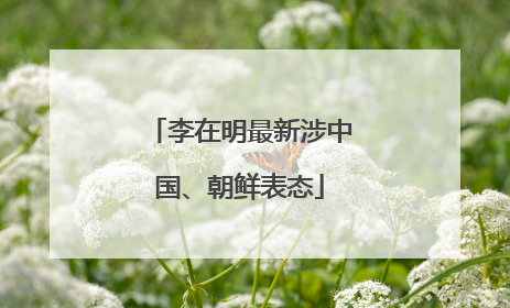李在明最新涉中国、朝鲜表态