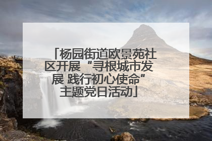 杨园街道欧景苑社区开展“寻根城市发展 践行初心使命”主题党日活动