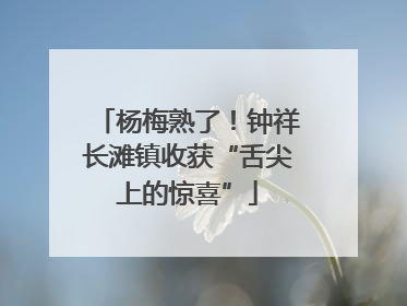 杨梅熟了！钟祥长滩镇收获“舌尖上的惊喜”