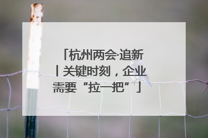 杭州两会·追新丨关键时刻，企业需要“拉一把”