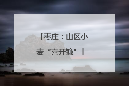 枣庄：山区小麦“喜开镰”