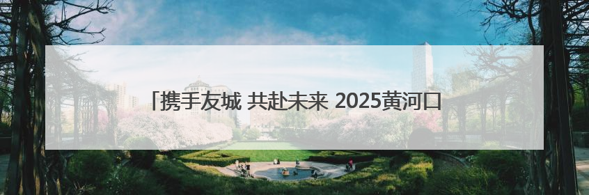携手友城 共赴未来 2025黄河口国际友城合作交流会在东营市成功举办
