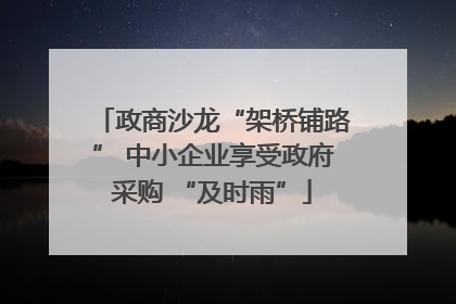 政商沙龙“架桥铺路” 中小企业享受政府采购 “及时雨”
