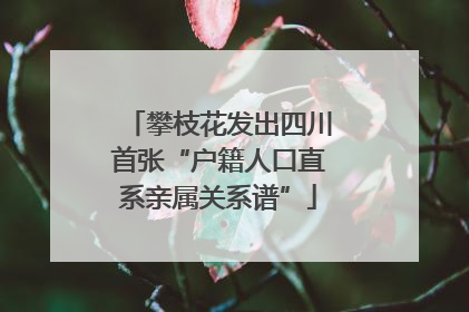 攀枝花发出四川首张“户籍人口直系亲属关系谱”