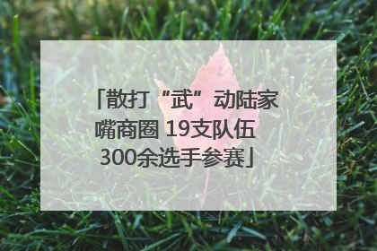 散打“武”动陆家嘴商圈 19支队伍300余选手参赛