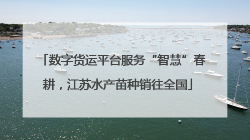 数字货运平台服务“智慧”春耕，江苏水产苗种销往全国