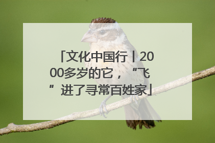 文化中国行丨2000多岁的它，“飞”进了寻常百姓家