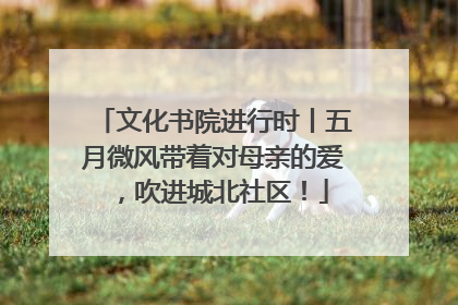 文化书院进行时丨五月微风带着对母亲的爱，吹进城北社区！