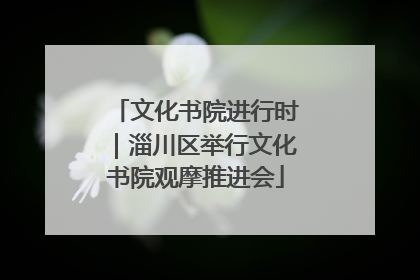 文化书院进行时｜淄川区举行文化书院观摩推进会