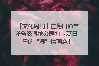文化周刊丨在海口潭丰洋省级湿地公园打卡夏日里的“湿”情画意
