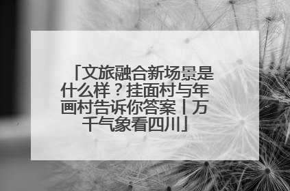 文旅融合新场景是什么样？挂面村与年画村告诉你答案丨万千气象看四川