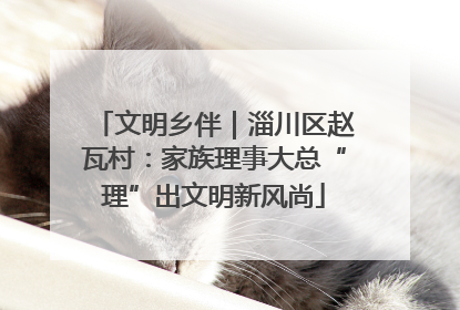 文明乡伴｜淄川区赵瓦村：家族理事大总“理”出文明新风尚