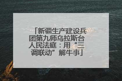 新疆生产建设兵团第九师乌拉斯台人民法庭：用“三调联动”解牛事