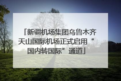 新疆机场集团乌鲁木齐天山国际机场正式启用“国内转国际”通道