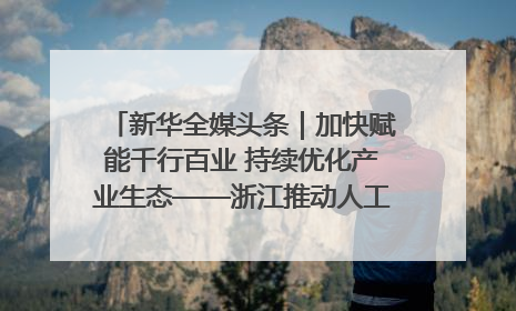 新华全媒头条｜加快赋能千行百业 持续优化产业生态——浙江推动人工智能健康有序发展观察