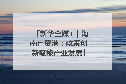 新华全媒+｜海南自贸港：政策创新赋能产业发展