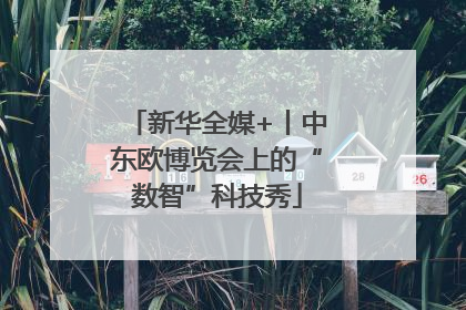 新华全媒+丨中东欧博览会上的“数智”科技秀