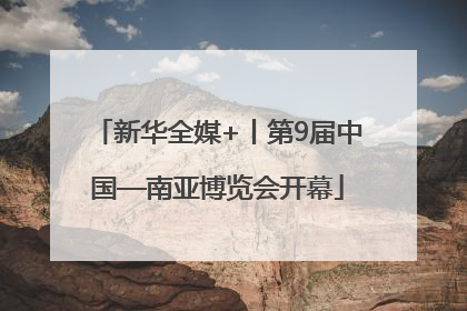 新华全媒+丨第9届中国—南亚博览会开幕