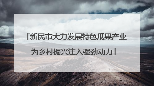 新民市大力发展特色瓜果产业 为乡村振兴注入强劲动力