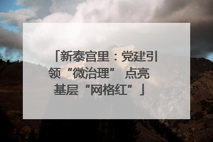 新泰宫里：党建引领“微治理” 点亮基层“网格红”