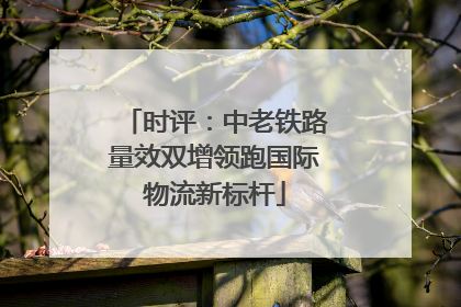 时评：中老铁路量效双增领跑国际物流新标杆