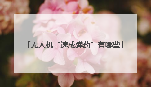 无人机“速成弹药”有哪些
