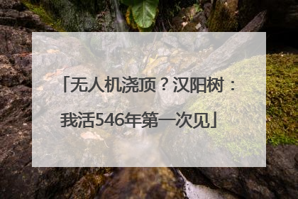 无人机浇顶？汉阳树：我活546年第一次见