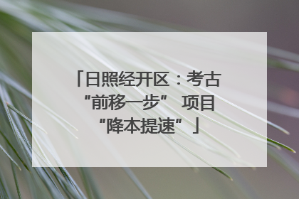日照经开区：考古“前移一步” 项目“降本提速”