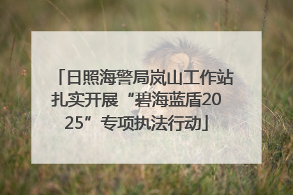 日照海警局岚山工作站扎实开展“碧海蓝盾2025”专项执法行动