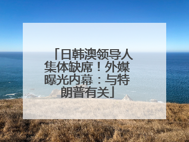 日韩澳领导人集体缺席！外媒曝光内幕：与特朗普有关