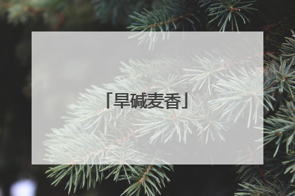 旱碱麦香