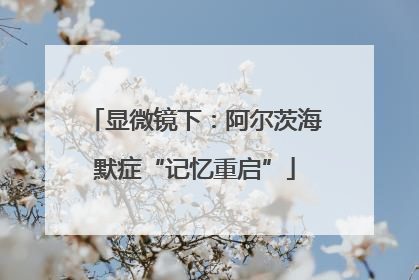 显微镜下：阿尔茨海默症“记忆重启”