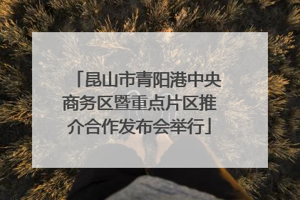 昆山市青阳港中央商务区暨重点片区推介合作发布会举行