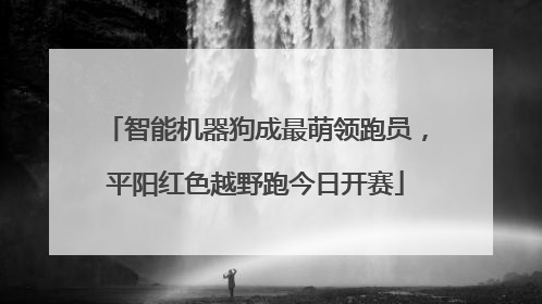智能机器狗成最萌领跑员，平阳红色越野跑今日开赛