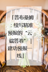 普布桑姆：续写精准预报的“云端答卷”｜建功预报一线