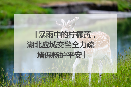 暴雨中的柠檬黄，湖北应城交警全力疏堵保畅护平安