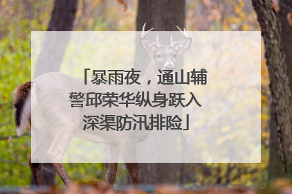 暴雨夜，通山辅警邱荣华纵身跃入深渠防汛排险