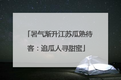 暑气渐升江苏瓜熟待客：追瓜人寻甜蜜