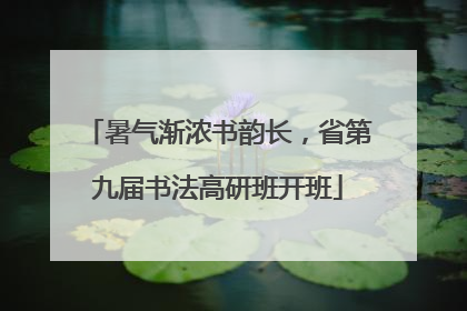暑气渐浓书韵长，省第九届书法高研班开班