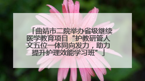 曲靖市二院举办省级继续医学教育项目“护教研管人文五位一体同向发力，助力提升护理效能学习班”