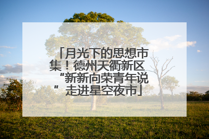 月光下的思想市集！德州天衢新区“新新向荣青年说”走进星空夜市