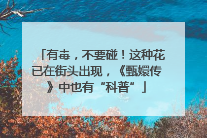有毒，不要碰！这种花已在街头出现，《甄嬛传》中也有“科普”