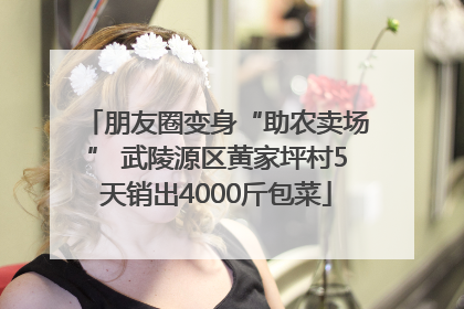 朋友圈变身“助农卖场” 武陵源区黄家坪村5天销出4000斤包菜