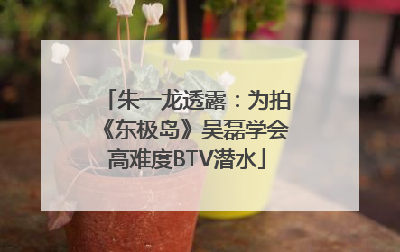 朱一龙透露：为拍《东极岛》吴磊学会高难度BTV潜水