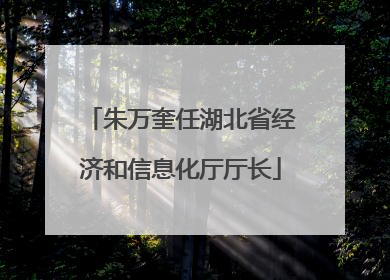 朱万奎任湖北省经济和信息化厅厅长