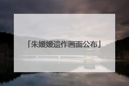 朱媛媛遗作画面公布